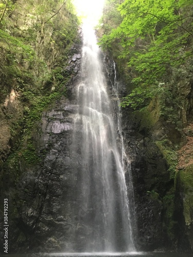 waterfall in the woods