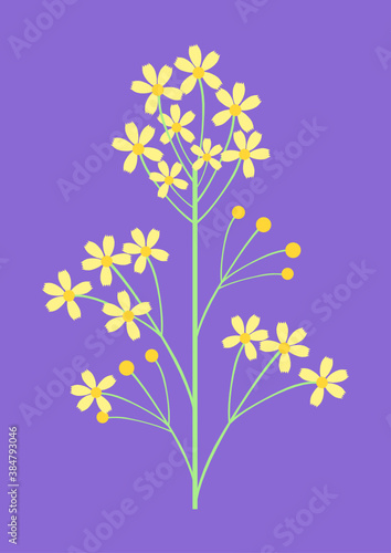 Yellow flower on blue background. Flat design. Botanical illustration.