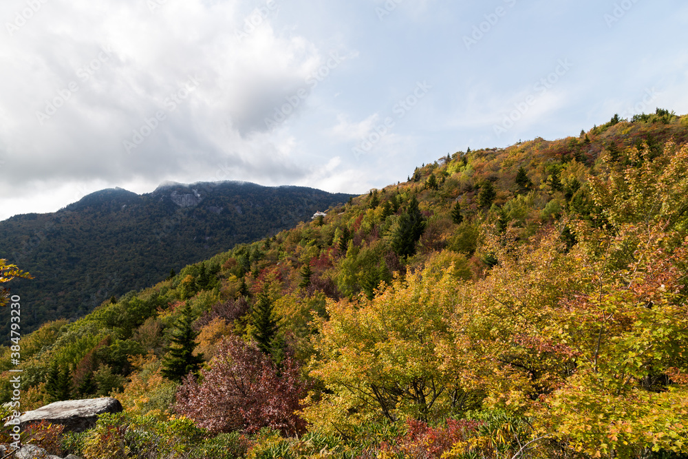Amazing fall mountain views from Rough Ridge Lookout. Linville, NC
Amazing fall mountain views from Rough Ridge Lookout. Linville, NC