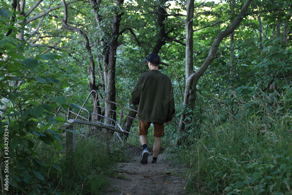 Obraz premium walking in the woods