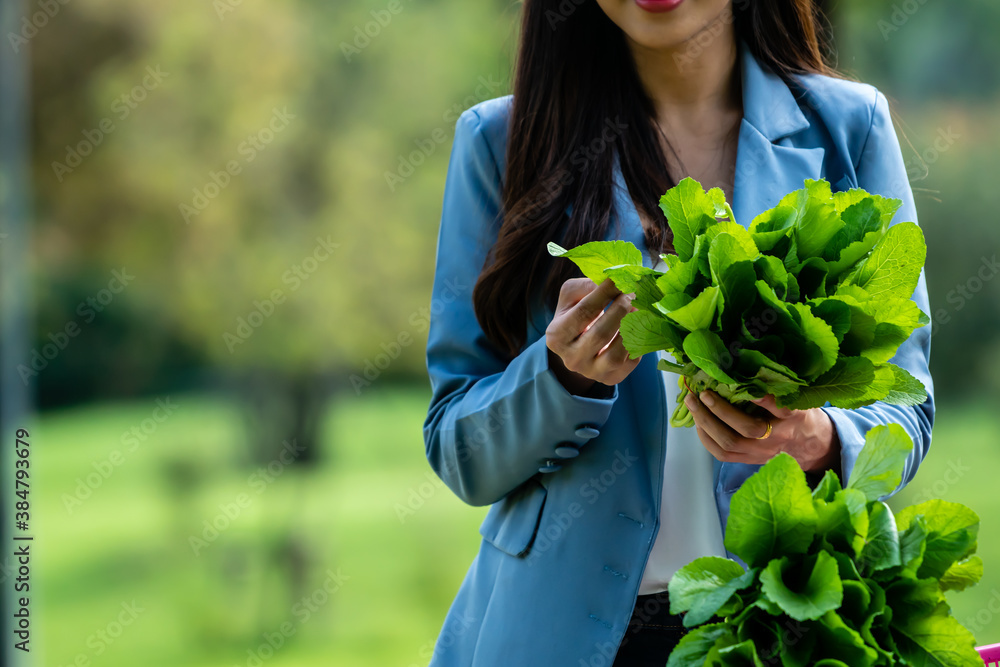 Obraz premium Asian Woman Botanist checking vegetable leaf in garden