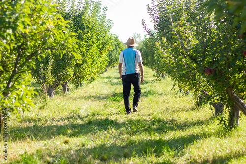 young man in apple orchard