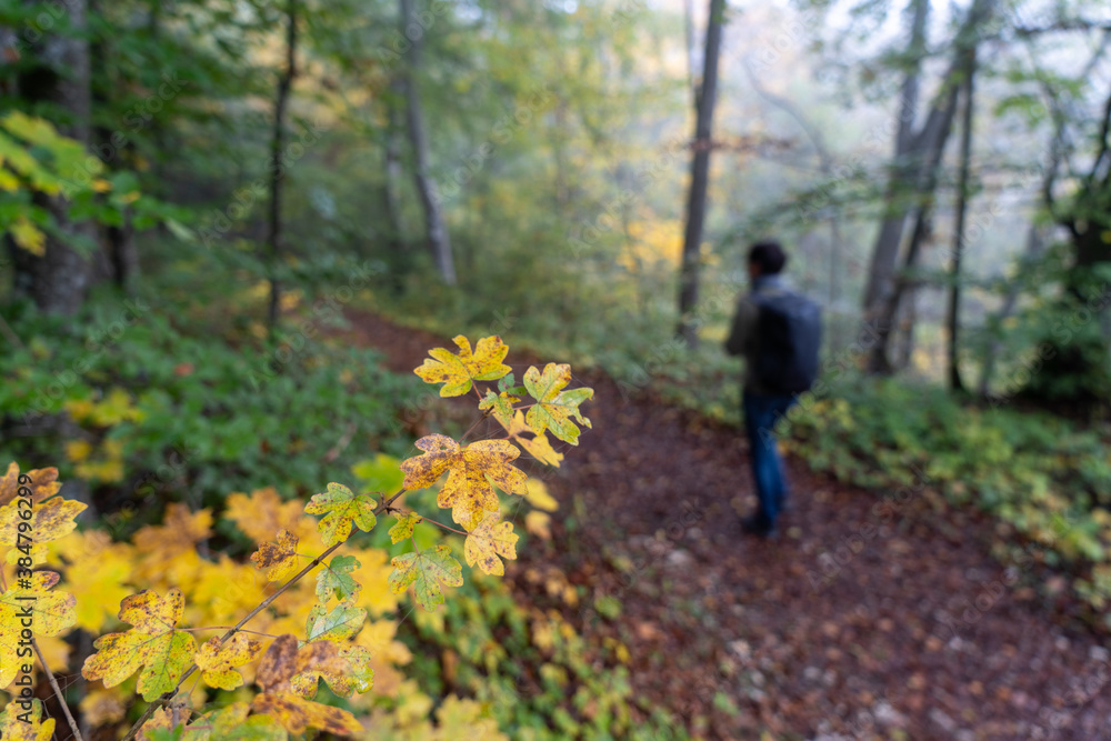 Herbst im Oberen Donautal Herbst im Oberen Donautal