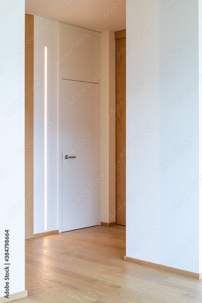 Corridor detail with door and led strip. Minimal apartment Corridor detail with door and led strip. Minimal apartment