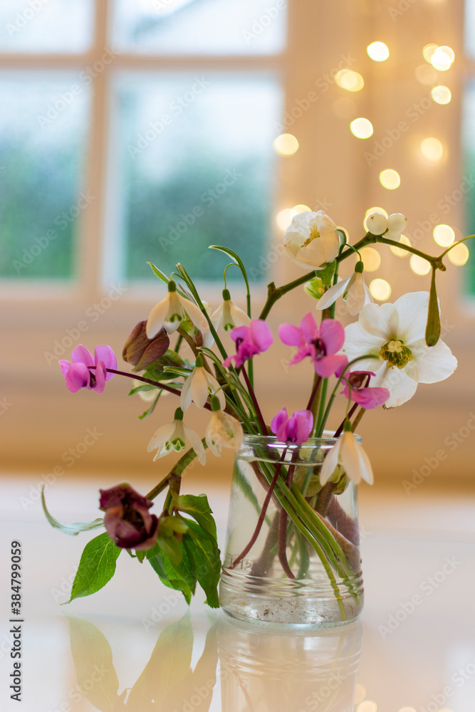 Snowdrops and Hellebores with Fairy Lights. Snowdrops and Hellebores with Fairy Lights.