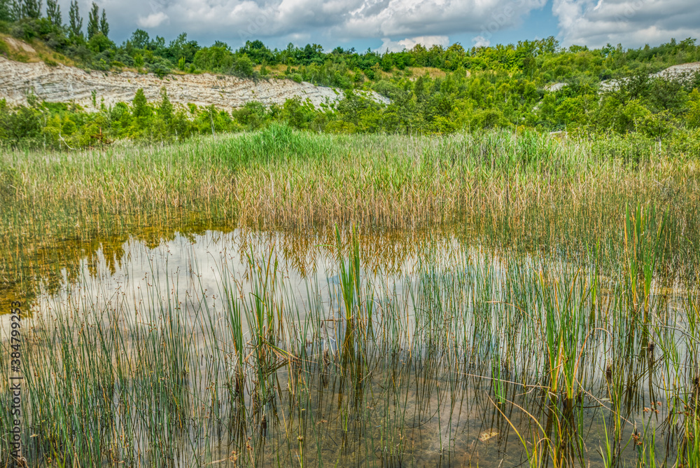 Vegetation grows in a pond in a dismissed limestone quarry conveyng a sense of silence, relaxation and quiet with tranquil and calm feelings. Clouds reflect in the lake 's water - Solrod, Denmark