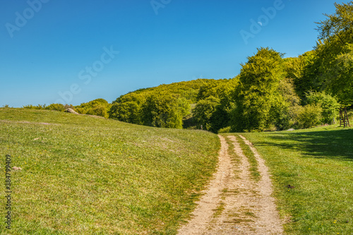 An hiking trail in a short, green grassland takes you to the woods on a soft and relaxing hillside nearby Mons Klint. Need to walk, chill out or relax in a pristine environment - Mon Island, Denmark