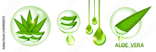Aloe Vera collagen and Serum for skin Care Cosmetic vector illustration.