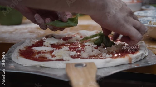 Putting basil leaves on top of the Neapolitan pizza dough. photo