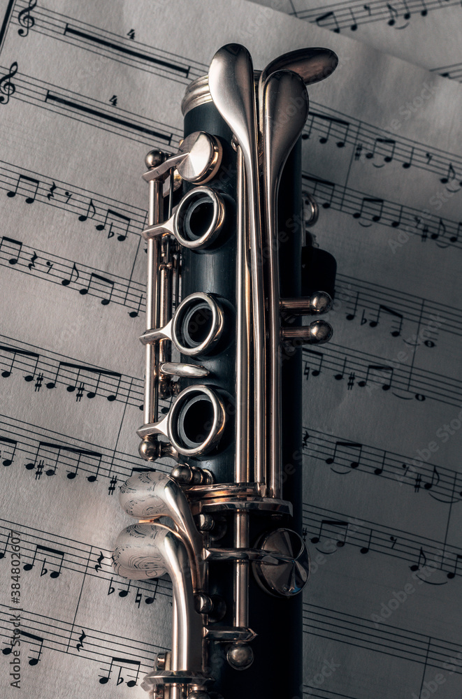 Obraz premium Musical notes and his clarinet.