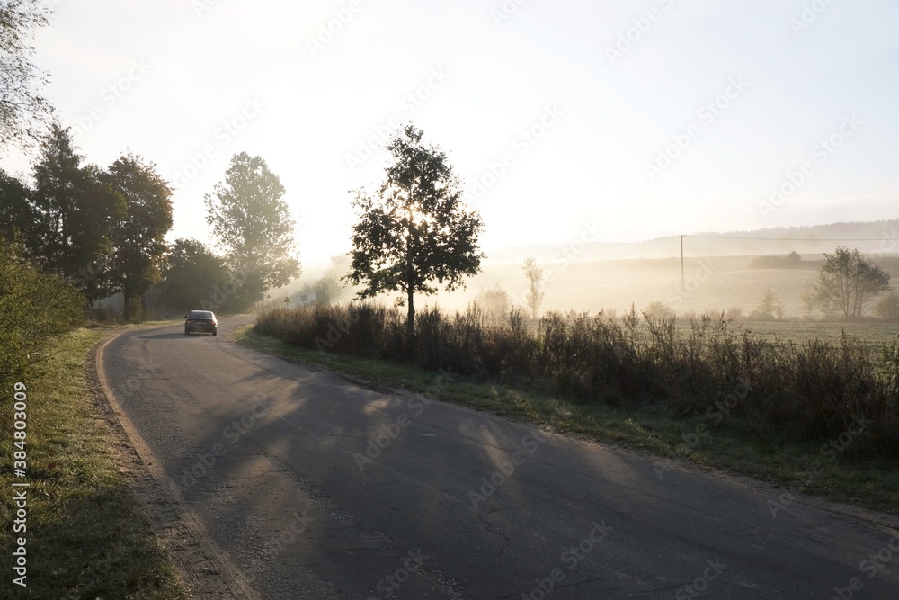 The winding road between trees in the morning mist. Silhouette of car on the road. The winding road between trees in the morning mist. Silhouette of car on the road.