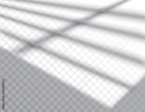 Shadow, overlay effects mock up, window frame and leaf of plants, natural light, vector illustration