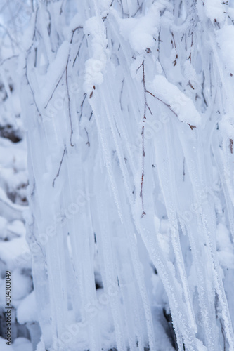 Row of frosty icicles in nature