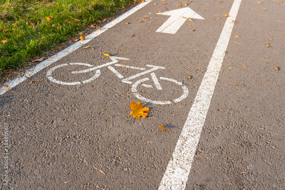 Obraz premium Bike path in the autumn Park. A symbol of cycle paths on the pavement