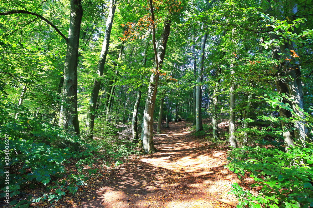 Obraz premium Unteremmendorf