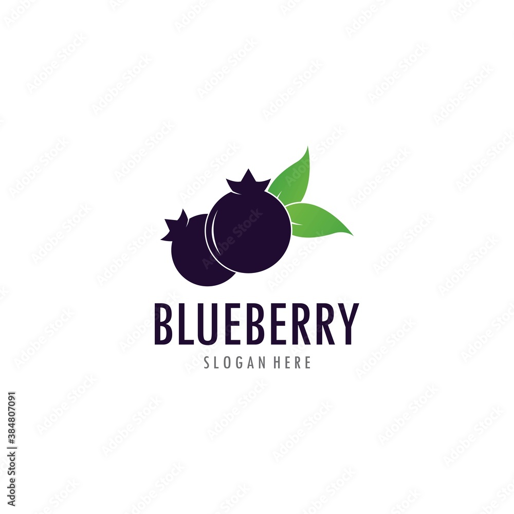 Blueberry logo vector template Blueberry logo vector template