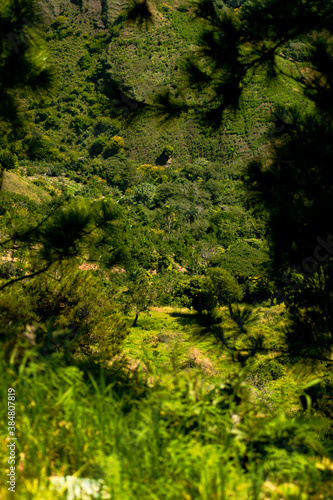 Landscape Cordillera Central  Dominican Republic