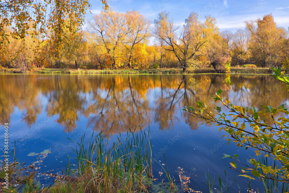 Autumn forest lake reflection landscape