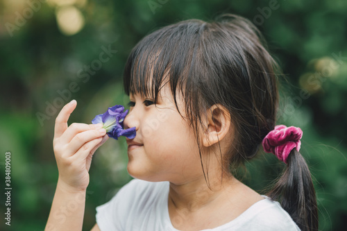 Smell sensory learning from flower. Cute Asian kid exploring natural environment through outdoor activity like play, touch and see the real things is the best method for education in children. 