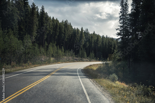 Road trip of asphalt highway curved in pine forest at Banff national park