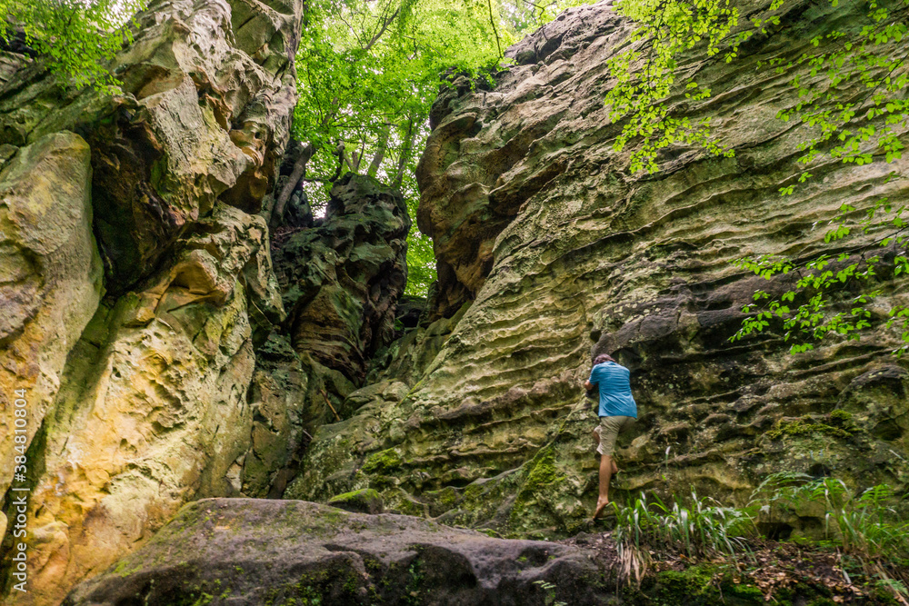 Young man climbs sandstone rock wall in peaceful forest Young man climbs sandstone rock wall in peaceful forest