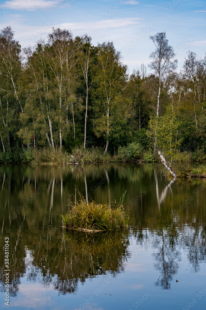 dreamlike autumn forest in the nature reserve pfrungen wilhelmsdorfer ried