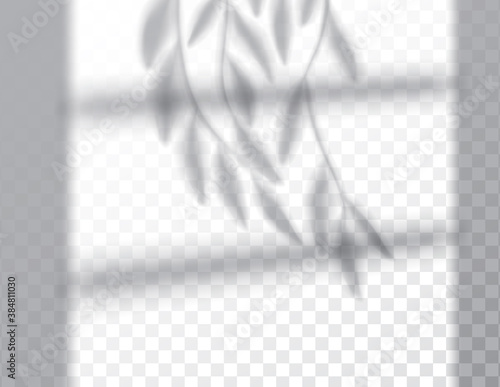 Shadow, overlay effects mock up, window or door frame and leaf of plants, natural light, vector illustration