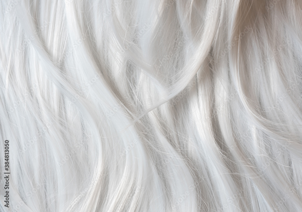 Platinum blond hair close up. White hair background or texture. Platinum blond hair close up. White hair background or texture.