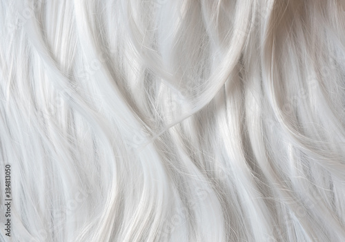 Platinum blond hair close up. White hair background or texture.