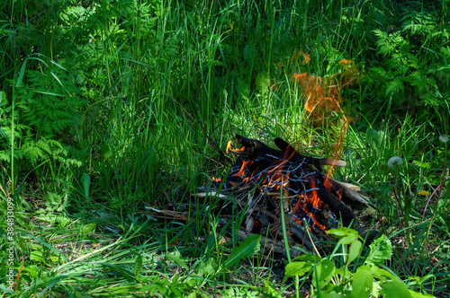 A bonfire is burning in the forest. Camping. Summer  green grass  nice weather