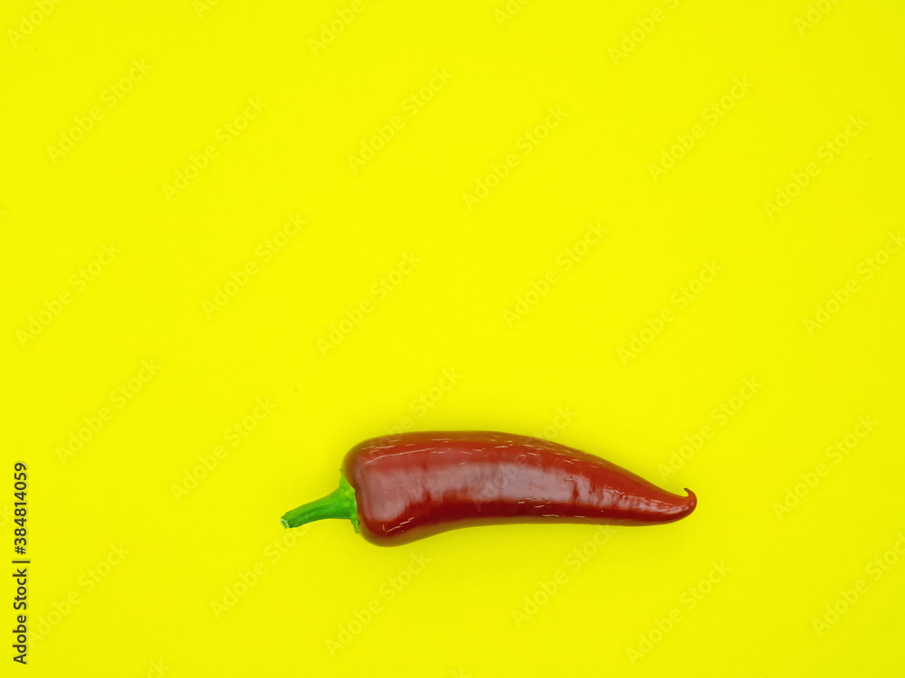 Nahaufnahme der roten Schote einer Chili Jalapeño freigestellt auf gelb Nahaufnahme der roten Schote einer Chili Jalapeño freigestellt auf gelb
