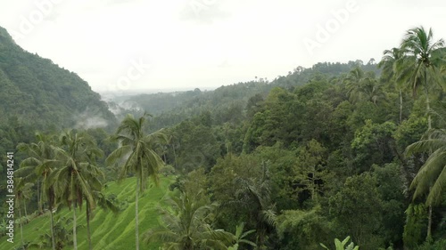 Slow drone tracking across rice patties and jungle in the tropics photo