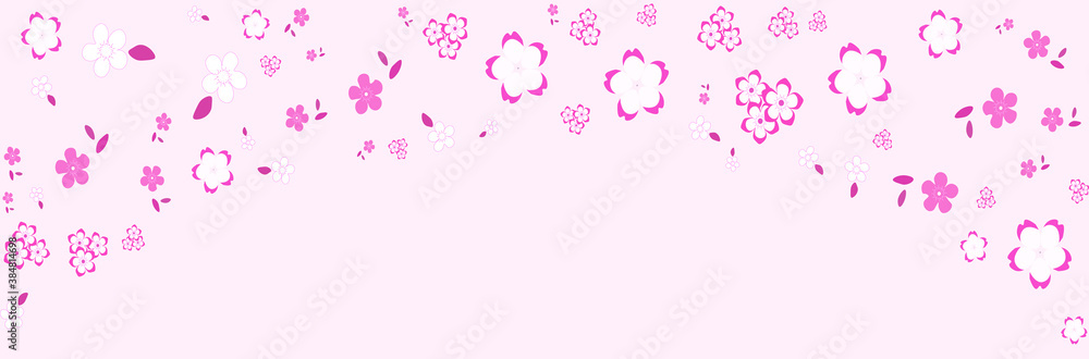 cherry blossom background, vector design
