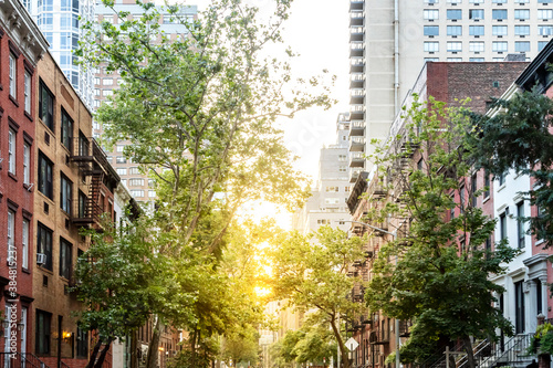 Canvas Print Tree lined street with historic homes in Midtown Manhattan, New York City