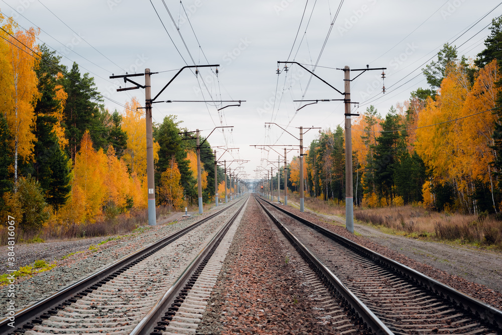Railroad track curved in autumn forest	
