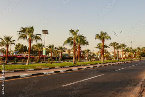 Beautiful egyptian landscape.. Palms and flowers