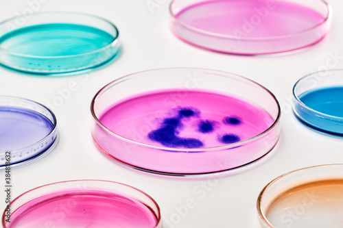 Blue smile on the pink background in Petri dish. Funny science chemical experiments. Chemistry for children