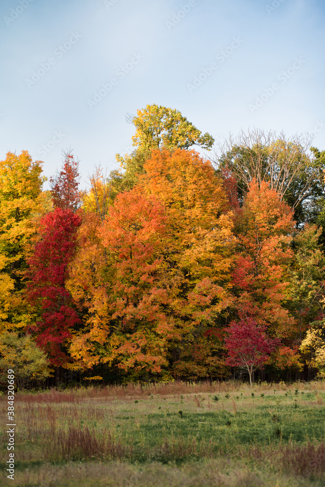 Fototapeta premium Fall color in the Cuyahoga Valley National Park in Ohio