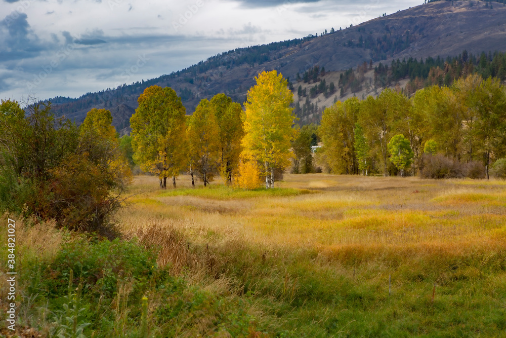 Obraz premium Fall colors in North Central Washington