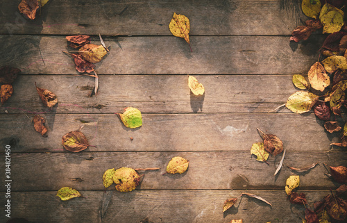 Autumn flat background of dry yellow and orange leaves on wooden table during sunny october  evening