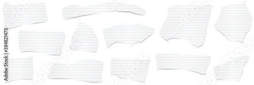 collection scrap of paper