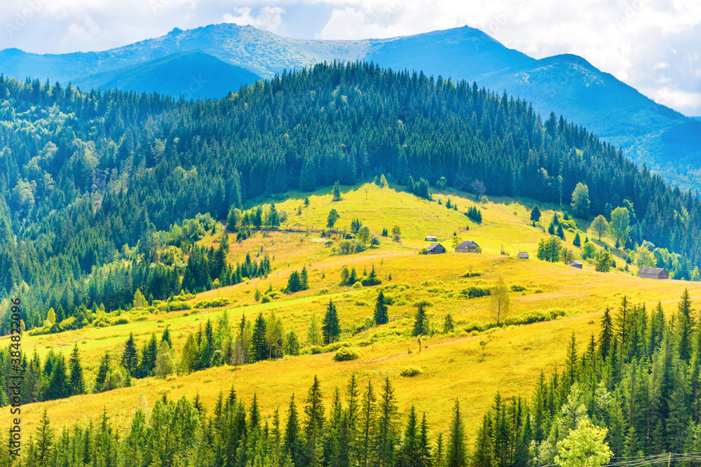 Sunny meadow with small rural houses and forest on blue mountain