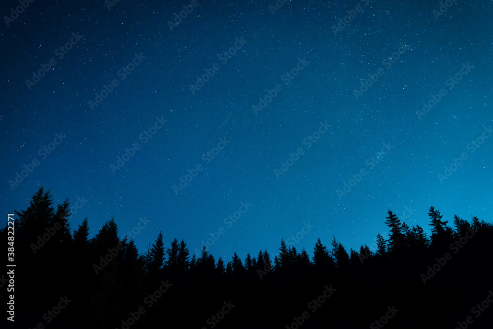 Forest and pine trees landscape under blue dark night sky with many stars, milky way cosmos background