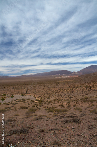 Desert landscape. View of the arid land, valley, vegetation and mountains in the horizon.