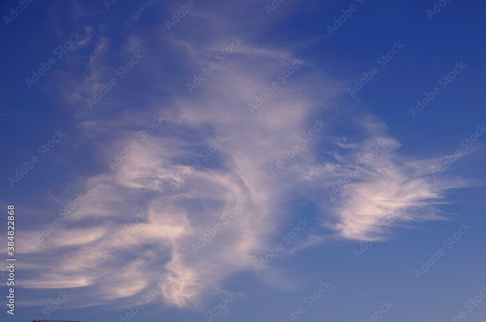 Obraz premium 青空と白い雲