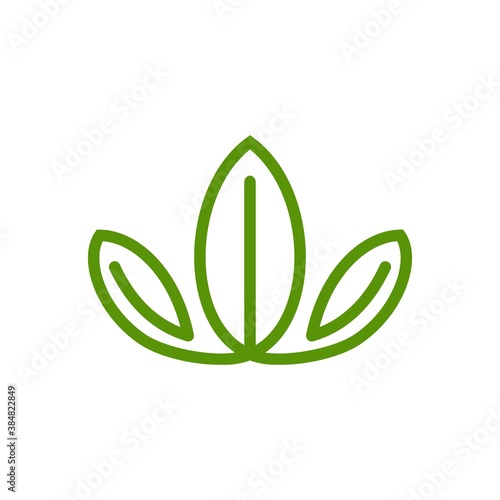 illustration vector graphic of Leaf. good for nature logos