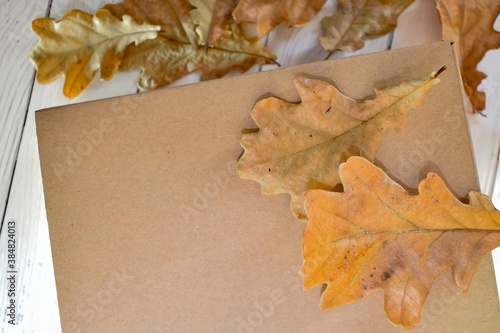 Autumn oak leaves are scattered on the background of a cardboard box. Concept: seasonal delivery, packaging, natural eco-friendly products. Space for text.