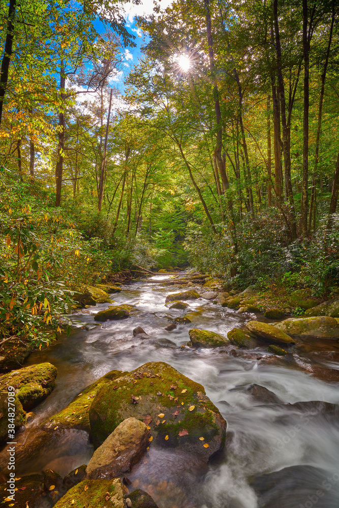 Curtis Creek near Curtis Creek Campground in the mountians of North Carolina.