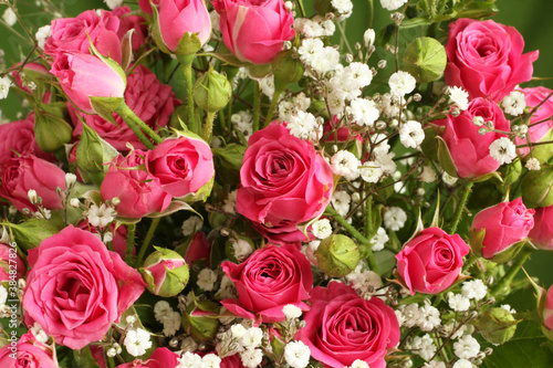 Bouquet of small pink roses on a green background. Closeup