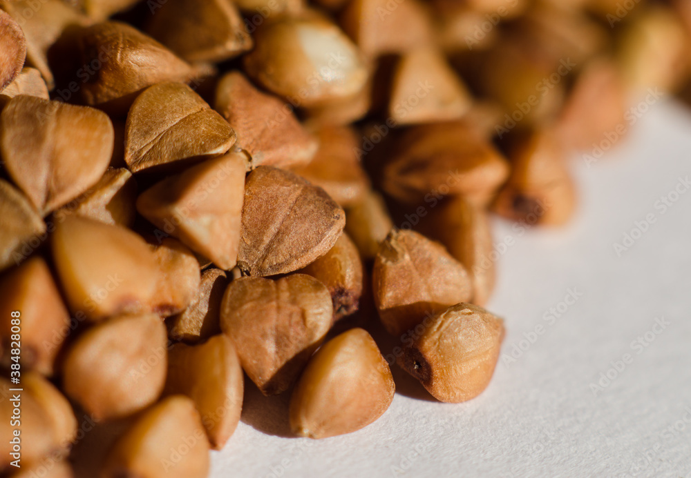 pine cones background pine cones background